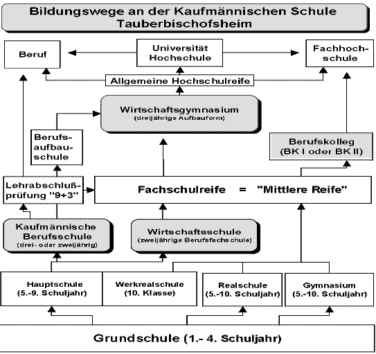 Bildungswege an der Kaufmännischen Schule Tauberbischofsheim
